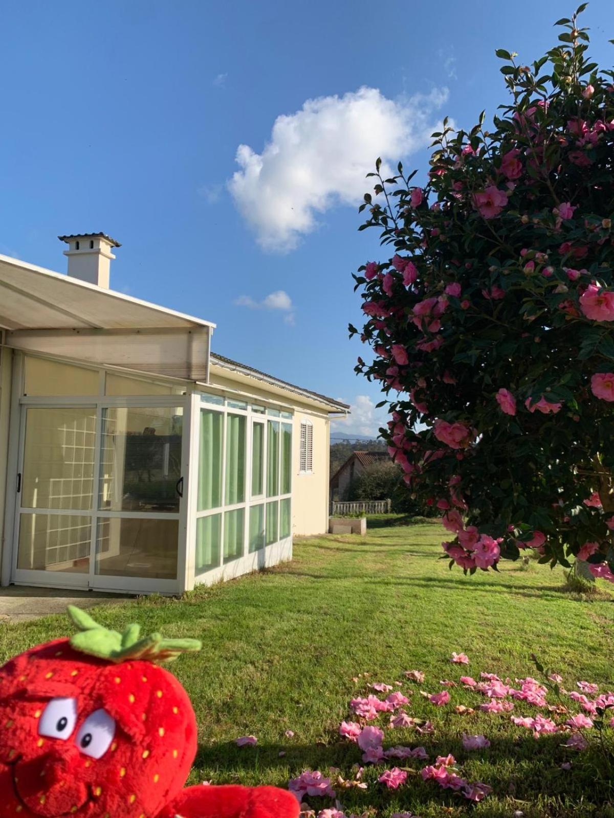 La Maison D'Abelleira Ponteareas Eksteriør bilde